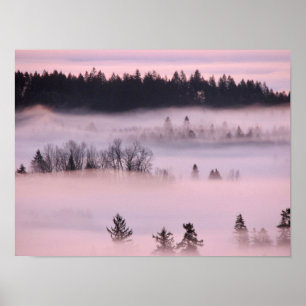 Poster Couverture de brouillard rose.
