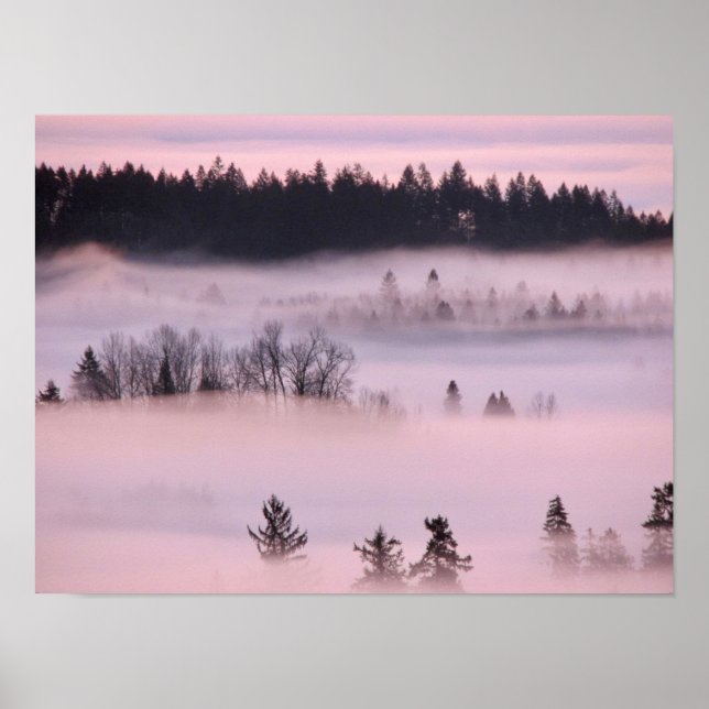 Poster Couverture de brouillard rose. (Devant)