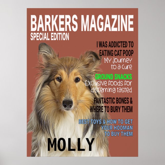 Poster Couverture du magazine Collie Parody (Devant)