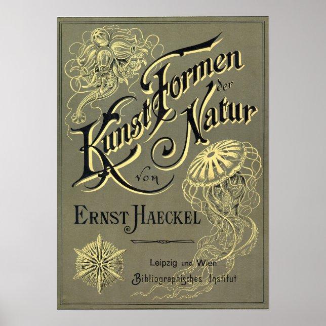 Poster Couverture Kunstformen der Natur (Devant)