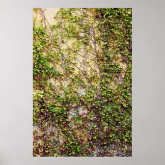 Poster Couverture murale - Irlande