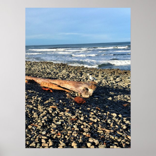 Poster Cove at Seaside, Oregon (Devant)