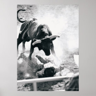 Poster Cowboy au sol après être tombé du taureau