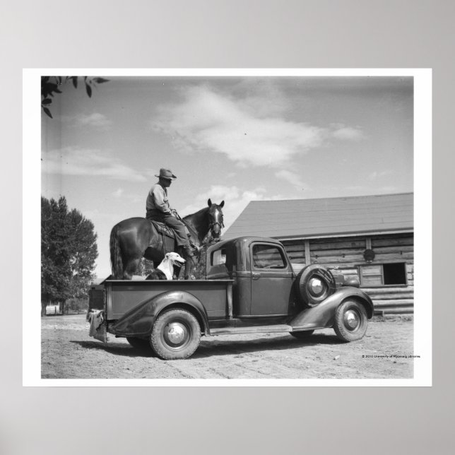 Poster Cowboy avec cheval dans un camion (Devant)