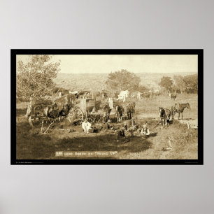 Poster Cowboy Chuckwagon SD 1887