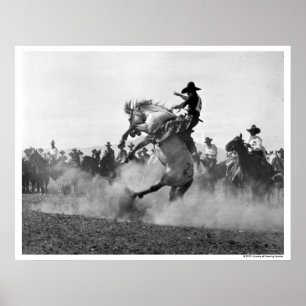 Poster Cowboy sur cheval sauvage s'opposant
