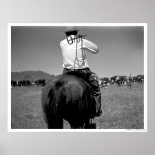 Poster Cowboy sur un cheval avec deux marques.