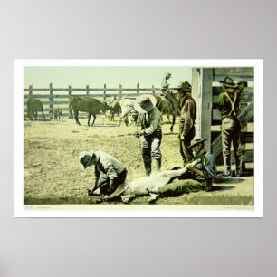 Poster Cowboys américains stigmatisant un veau, c.1900