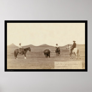 Poster Cowboys Roping A Buffalo SD 1887