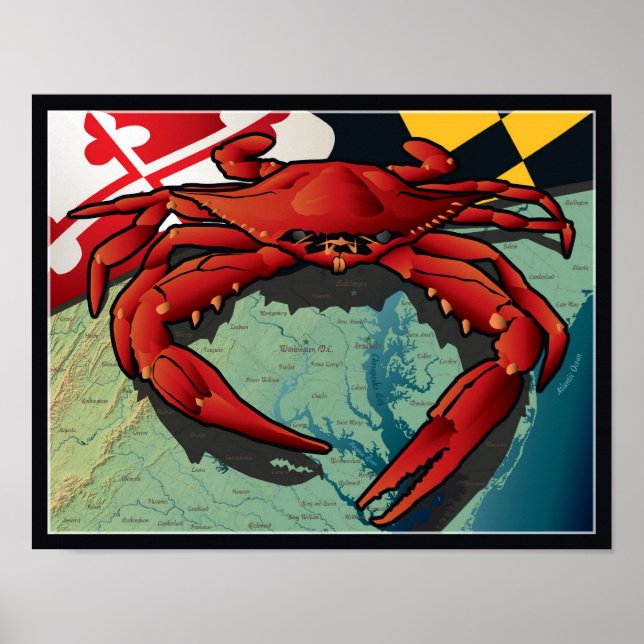 Poster Crabe citoyen du Maryland (Devant)