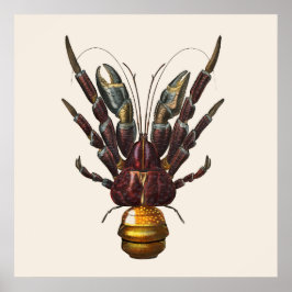 Poster Crabe de coco