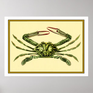 Poster Crabe vintage