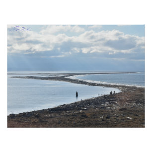 Poster Crache Dungeness du phare