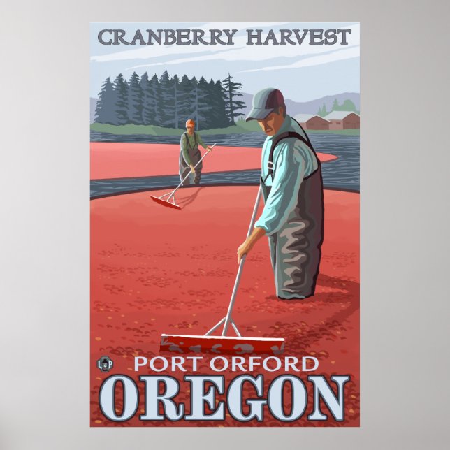 Poster Cranberry Bogs Harvest - Port Orford, Oregon (Devant)