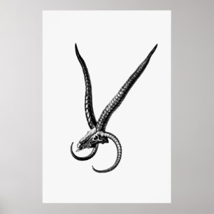 Poster Crâne animal vintage