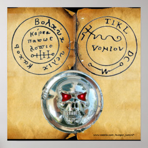 POSTER CRÂNE CHROME ET CARTE AU TRÉSOR DES PIRATES ANTIQU