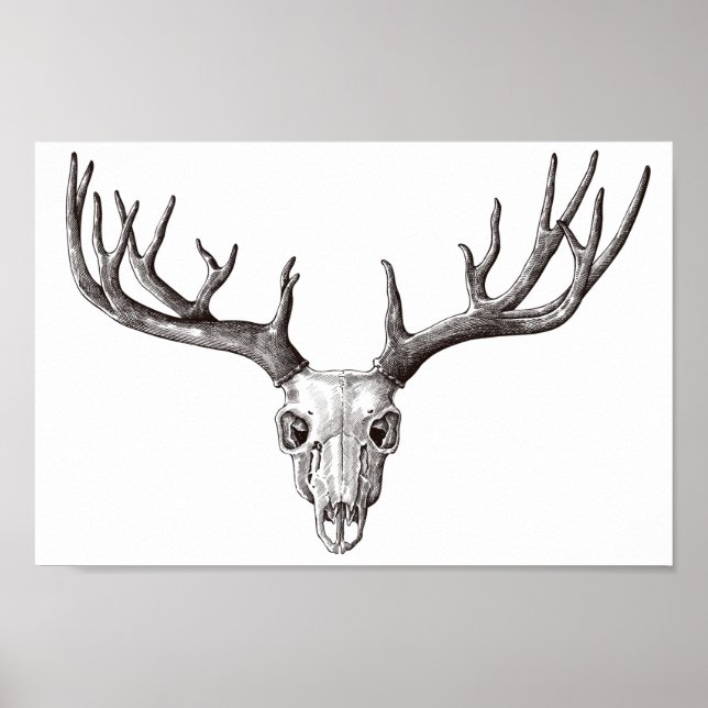 Poster Crâne de cerf vintage/Antlers (Devant)