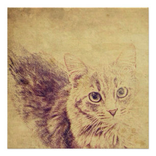 Poster Crayon amoureux des chats mignon croquis gris tabb