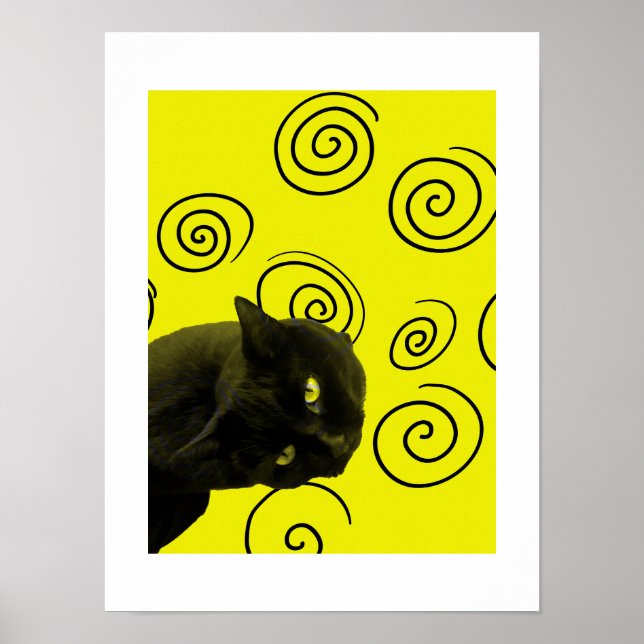 Poster Crazy Cat (Devant)