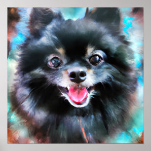 Poster Crazy Happy Black Pomeranian Portrait Art