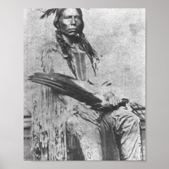 Poster Crazy Horse (Devant)