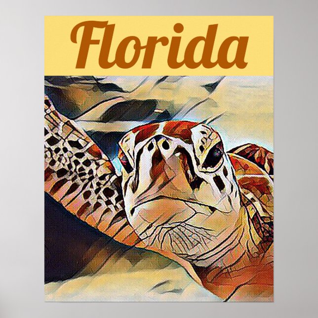 Poster Creative Wildlife Sea Turtle Floride Voyage (Devant)
