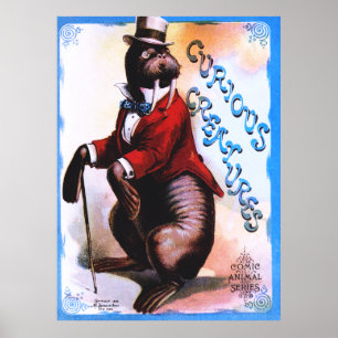 Poster Créatures curieuses - Sceau