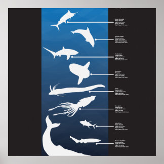 Poster Créatures de l'océan ouvert