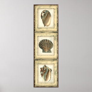 Poster Créatures de mer par le rivage