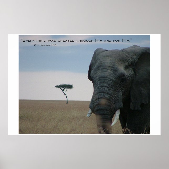 Poster Créé pour lui (Devant)