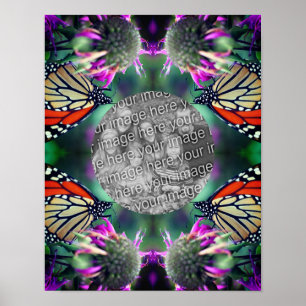 Poster Créez Votre Propre Papillon Monarque Sur Le Cadre