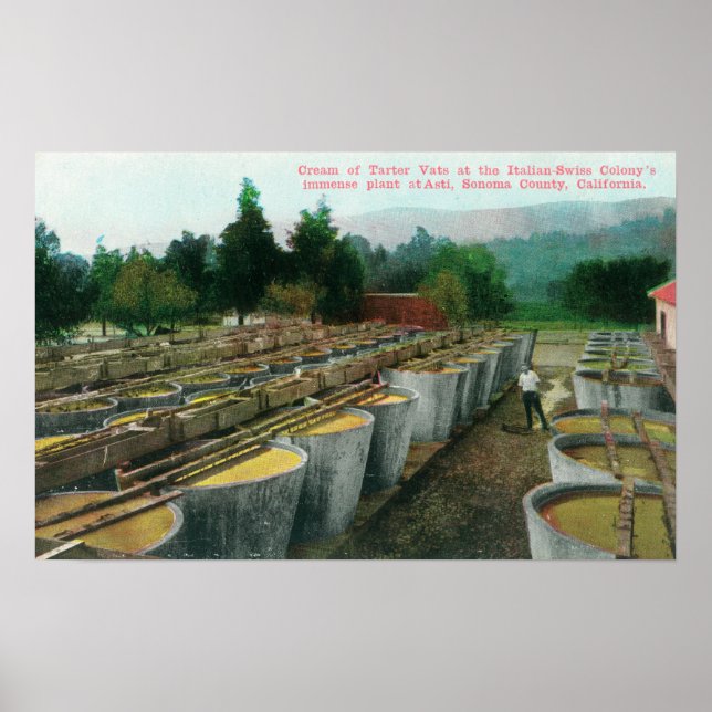 Poster Crème de Tartar Vats Vue à Colon Italien-Suisse (Devant)