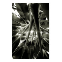 crescendo
