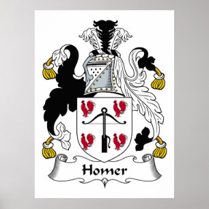 Poster Crête de famille de Homer