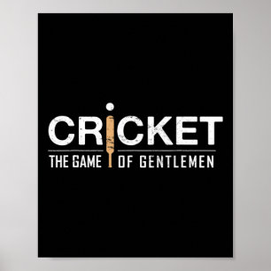 Poster Cricket 14