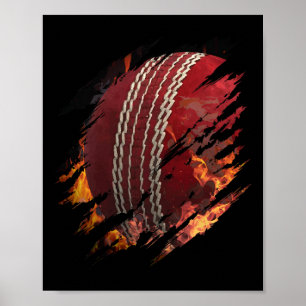 Poster Cricket Ll En Feu À L'intérieur De Moi Fan Ou Joue