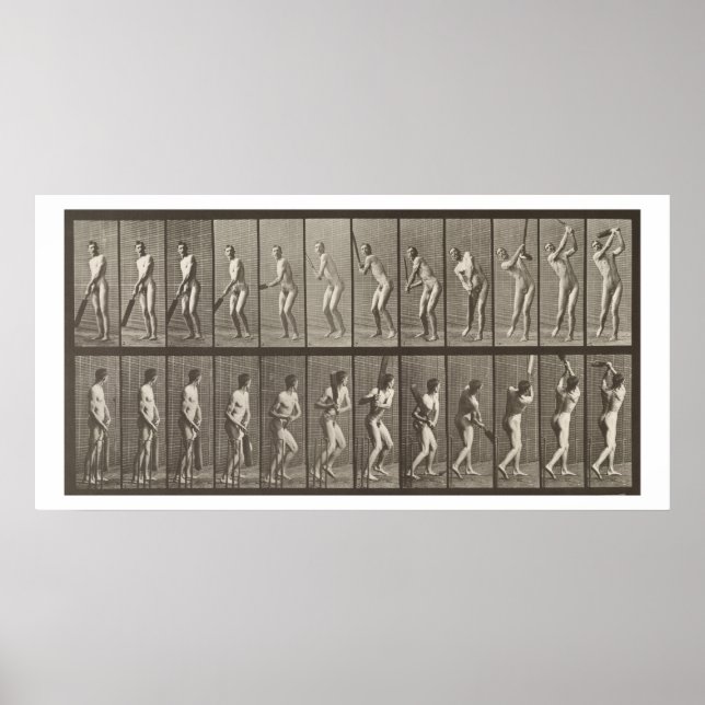 Poster Cricketer, plaque 291 de 'Animal Locomotion', 188 (Devant)