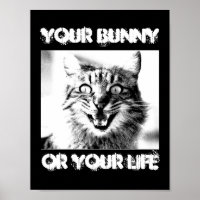 Criminels De Chat Votre Lapin Ou Votre Porte De Vi