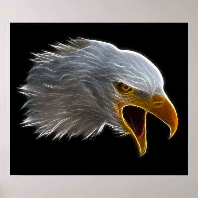 Poster Cris American Bald Eagle Head (Devant)