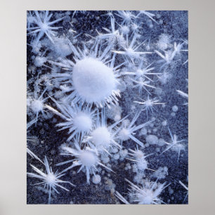 Poster cristaux de glace dans la Sierra