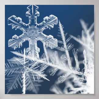 Poster cristaux de neige