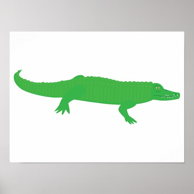 Poster Crocodile (Devant)