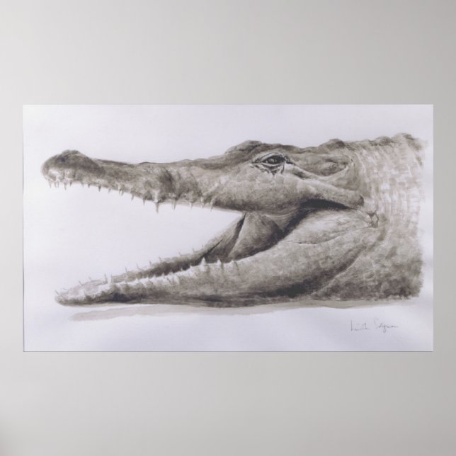 Poster Crocodile 2005 (Devant)