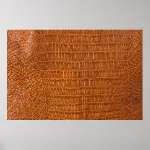 Poster Crocodile alligator reptile texture cuir fermer