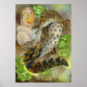 Poster Crocodile grossier
