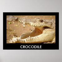 crocodile Jaws de JungleWalk.com