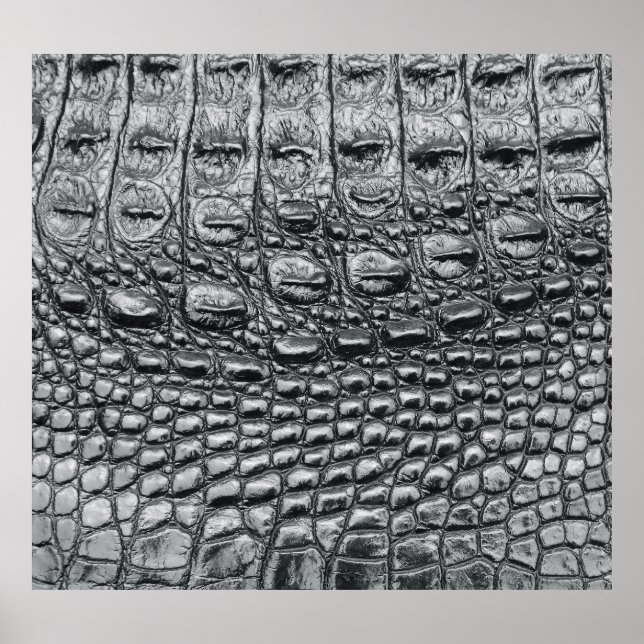 Poster Crocodile Noir : Météo Noire Mystique (Devant)