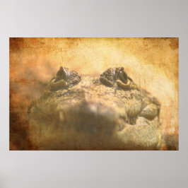 Poster Crocodylus Moreletii Fermer