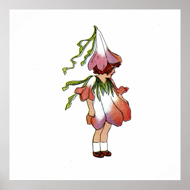 Poster Crocus (Devant)