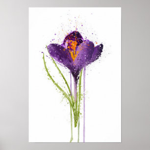 Poster Crocus